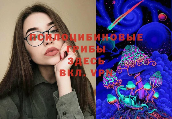 Альфа ПВП Алзамай