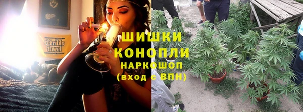 кокс Арсеньев