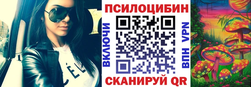 МЕГА сайт  Куйбышев  Псилоцибиновые грибы Psilocybe  где можно купить  
