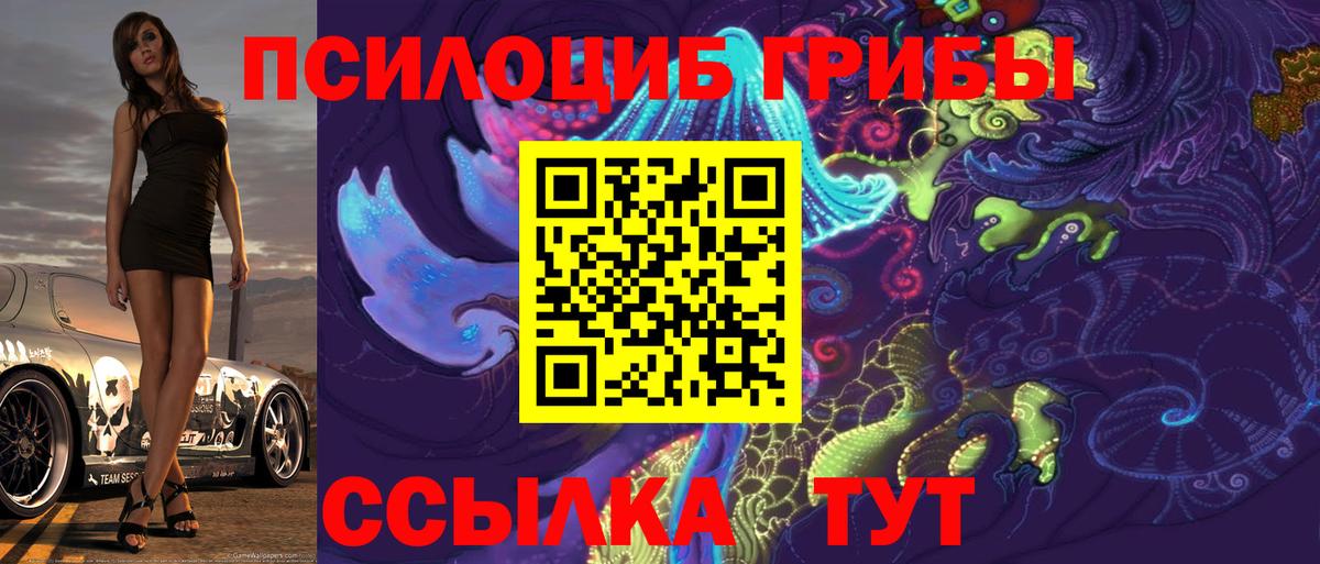 Псилоцибиновые грибы Psilocybine cubensis  Псилоцибиновые грибы GOLDEN TEACHER  Куйбышев  Вход с VPN 